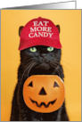 Happy Halloween Cat in Trump Hat Eat More Candy Humor card
