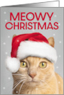 Merry Christmas For Anyone Cute Orange Tabby Cat in Santa Hat Humor card