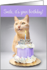Happy Birthday For Anyone Funny Smiling Cat With Birthday Cake Humor card