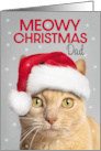Merry Christmas Dad Cute Orange Tabby Cat in Santa Hat Humor card