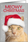 Merry Christmas Custom Name Cute Orange Tabby Cat in Santa Hat Humor card