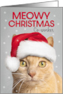 Merry Christmas CoWorker Cute Orange Tabby Cat in Santa Hat Humor card