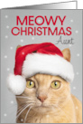 Merry Christmas Aunt Cute Orange Tabby Cat in Santa Hat Humor card