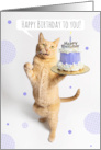 Happy Birthday From the Cat Cute Orange Tabby Cat Holding Cake card
