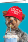 Happy Birthday For Anyone Yorkie Dog in Trump Hat With Cake Humor card