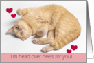 Happy Valentines Day For Anyone Orange Tabby Cat Head Over Heels Humor card