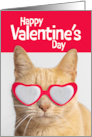 Happy Valentines Day For Anyone Orange Cat in Heart Glasses Humor card
