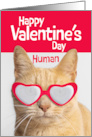 Happy Valentines Day Human Orange Tabby Cat in Heart Glasses card