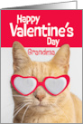 Happy Valentines Day Grandma Orange Tabby Cat in Heart Glasses card