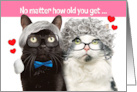 Happy Valentine’s Day For Both Funny Older Cat Couple Humor card