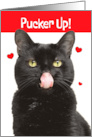 Happy Valentines Pucker Up Cat With Tongue Out For Kisses Humor card