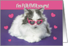 Happy Valentines Day For Anyone Cute Cat In Heart Shaped Sunglasses card