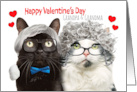 Happy Valentines Day Grandma and Grandpa Cat Couple Humor card