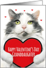 Happy Valentines Day Granddaughter Cute Cat Holding Big Heart Humor card