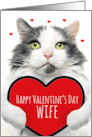 Happy Valentines Day Wife Cute Cat Holding Big Heart Humor card