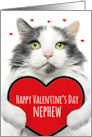 Happy Valentines Day Nephew Cute Cat Holding Big Heart Humor card