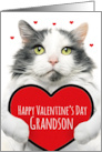 Happy Valentines Day Grandson Cute Cat Holding Big Heart Humor card