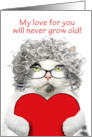 Happy Valentines Day For Anyone Senior Cat Love Will Never Grow Old card