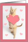 Happy Valentines Day For Anyone Cute Orange Tabby Cat Holding Heart card