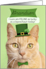 Happy St Patricks Day Grandson Cat in Leprechaun Hat Humor card