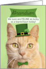 Happy St Patricks Day Grandson From Both Cat in Leprechaun Hat Humor card