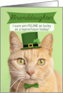Happy St Patricks Day Granddaughter Cat in Leprechaun Hat Humor card