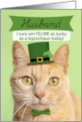 Happy St Patricks Day Husband Cat in Leprechaun Hat Humor card