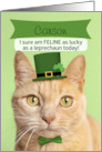 Happy St Patricks Day Custom Name Cat in Leprechaun Hat Humor card