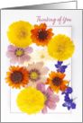 Thinking of You For Anyone Dried Pressed Colorful Flowers card