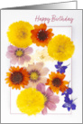 Happy Birthday For Anyone Dried Pressed Colorful Flowers card