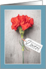 Happy Doctors Day Single Red Carnation Flower card