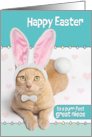 Happy Easter Great Niece Cute Ginger Cat in Bunny Costume Humor card