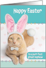 Happy Easter Great Nephew Cute Ginger Cat in Bunny Costume Humor card