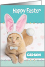 Happy Easter Custom Name Cute Ginger Cat in Bunny Costume Humor card