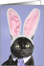 Happy Easter For Anyone Cute Black Cat in Bunny Ears and Tie Humor card