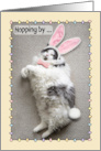Happy Easter For Anyone Funny Fat Cat in Bunny Ears Humor card