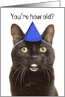 Happy Birthday For Anyone Shocked Cat with Human Teeth in Hat Humor card