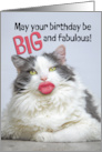 Happy Birthday For Anyone Fabulous Cat With Big Human Lips Humor card