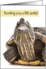 Sending a Smile Cheer Funny Turtle With Big Human Teeth Humor card