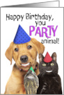Happy Birthday For Anyone Party Animal Funny Pets With Human Smiles card