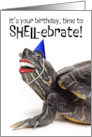 Happy Birthday For Anyone Funny Turtle With Smile and Party Hat Humor card