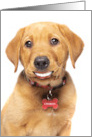 Thinking of You Makes Me Smile Puppy With Human Teeth Custom Name card