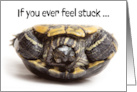 Turtle With Teeth Stuck on Back Encouragement For Anyone Humor card