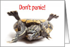 Turtle Stuck on Back Here For You Encouragement For Anyone Humor card