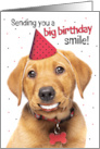 Happy Birthday Funny Red Fox Labrador Puppy With Human Smile Humor card
