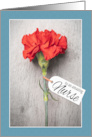 Happy Nurses Day Single Red Carnation Flower card