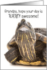Happy Fathers Day Grandpa Funny Turtle With Big Human Teeth Humor card