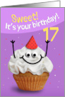 Happy 17th Birthday Cute Cupcake Character in Party Hat Humor card