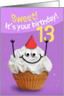 Happy 13th Birthday Cute Cupcake Character in Party Hat Humor card