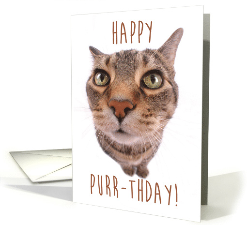 Tabby Cat Wishing Happy Purr-thday card (1518998)